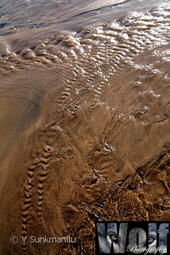 SWM 014 Copyright Villayat Sunkmanitu.jpg